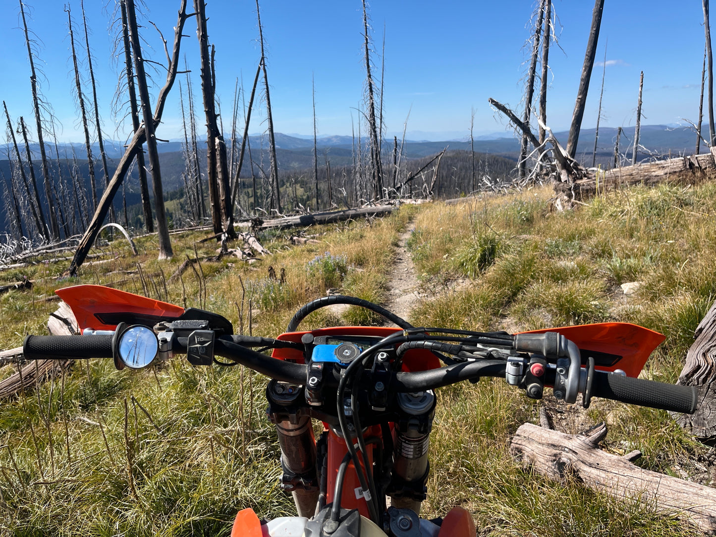 Trail Mirror